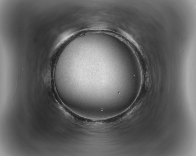 X0000087581456200704271256