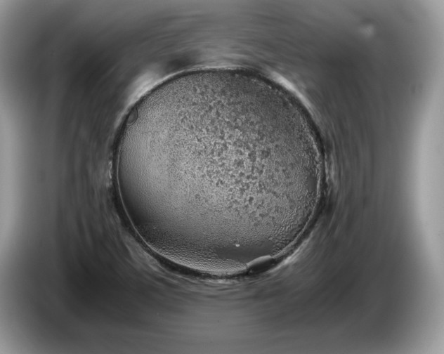 X0000087581459200704271256