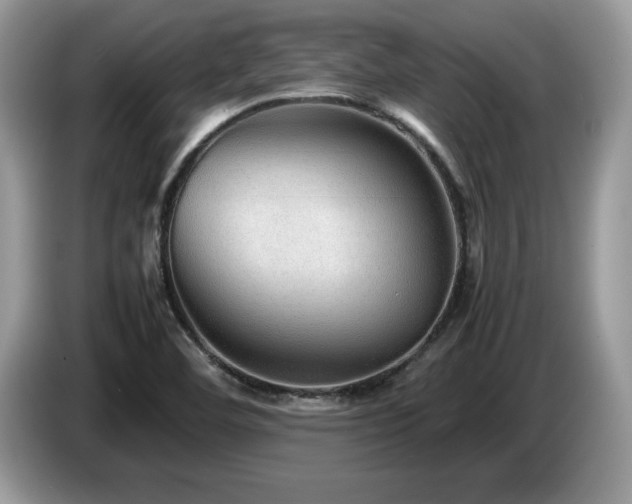 X0000087581460200704271256
