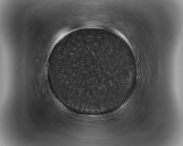 X0000087581463200704271256