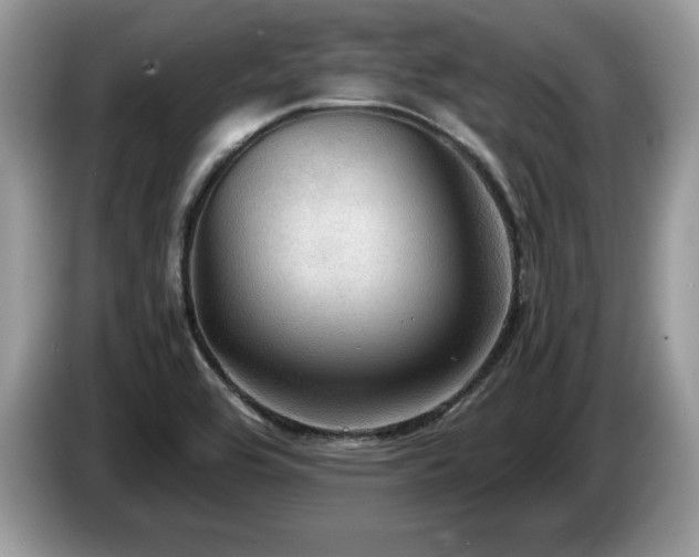 X0000087581464200704271256