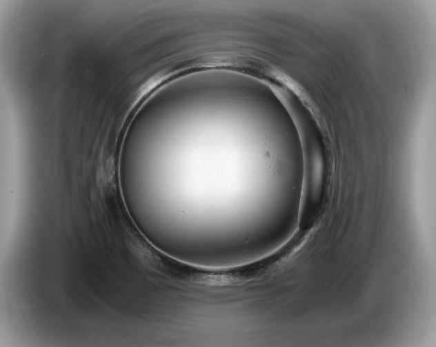 X0000087581465200704271256