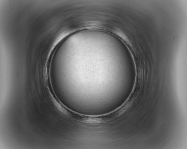 X0000087581466200704271256