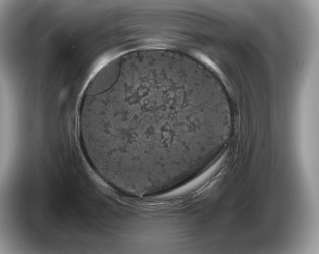 X0000087581467200704271256