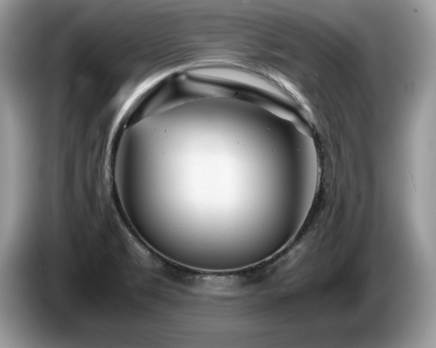 X0000087581469200704271256