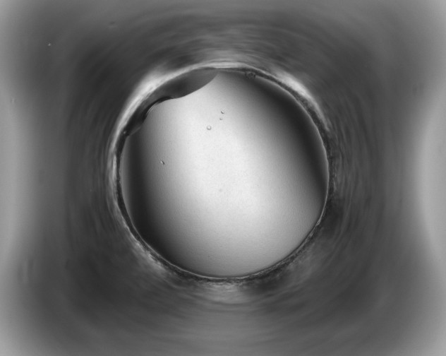 X0000087581472200704271256