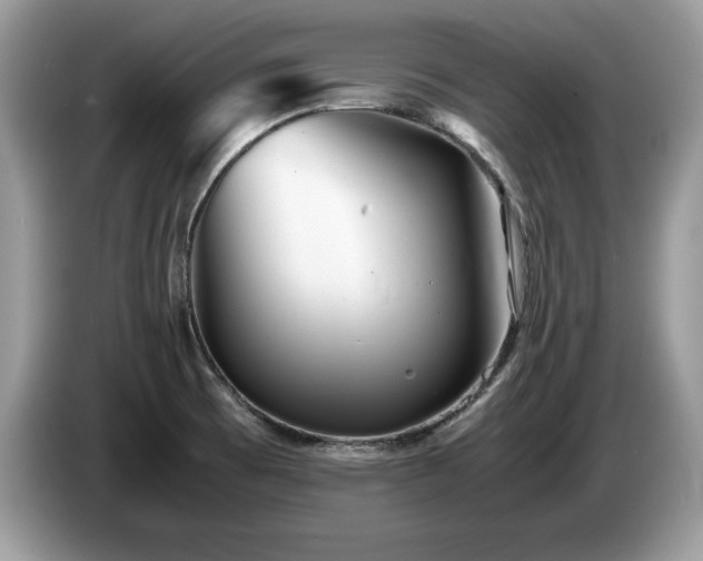 X0000087581473200704271256