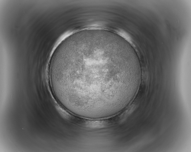 X0000087581474200704271256