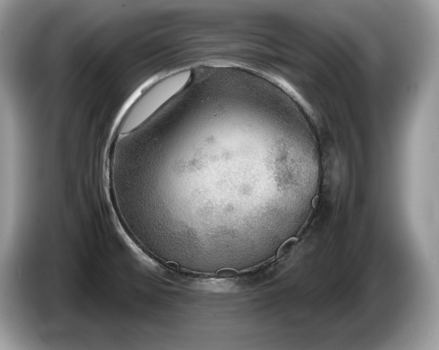 X0000087581476200704271256