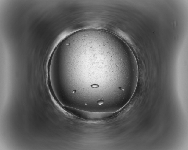 X0000087581479200704271256