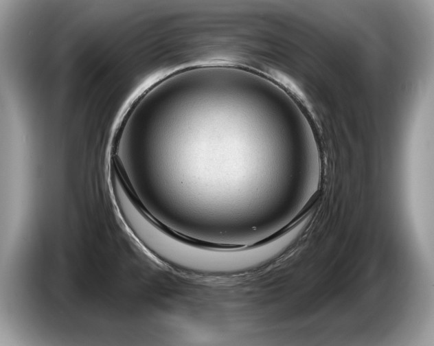 X0000087581480200704271256