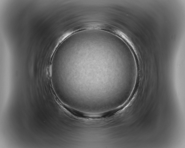 X0000087581481200704271256