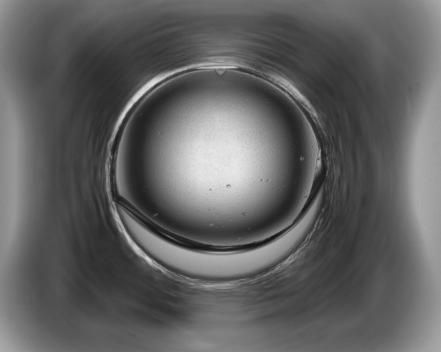 X0000087581484200704271256
