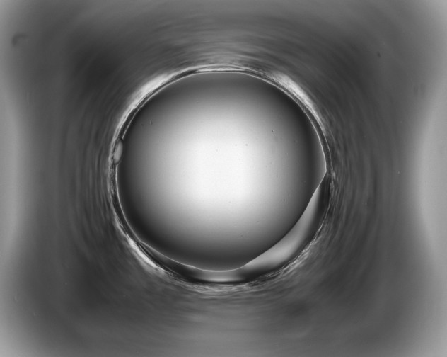 X0000087581485200704271256