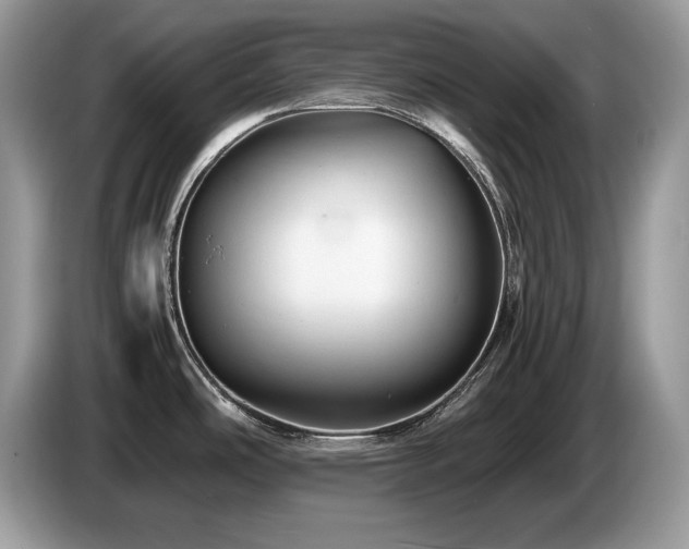 X0000087581486200704271256