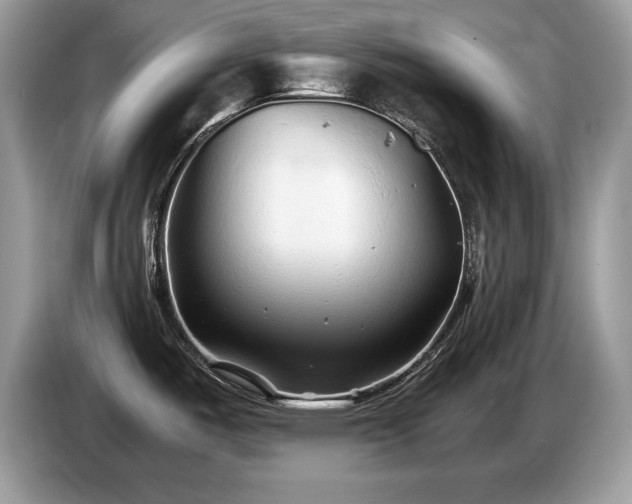 X0000087581487200704271256