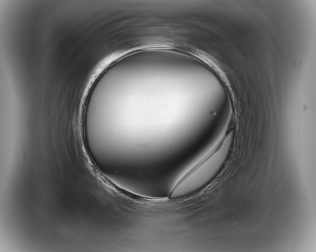 X0000087581488200704271256