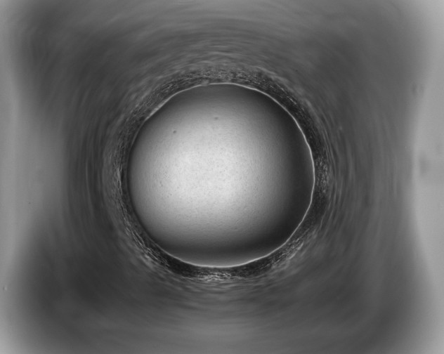 X0000087581489200704271255