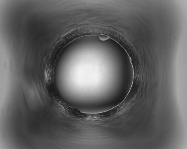 X0000087581490200704271255