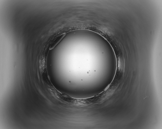 X0000087581492200704271256