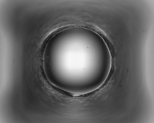 X0000087581496200704271256
