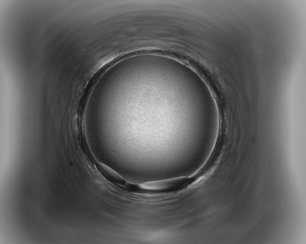 X0000087581497200704271256