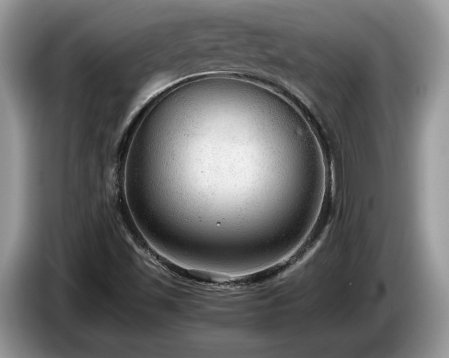 X0000087581501200704271256