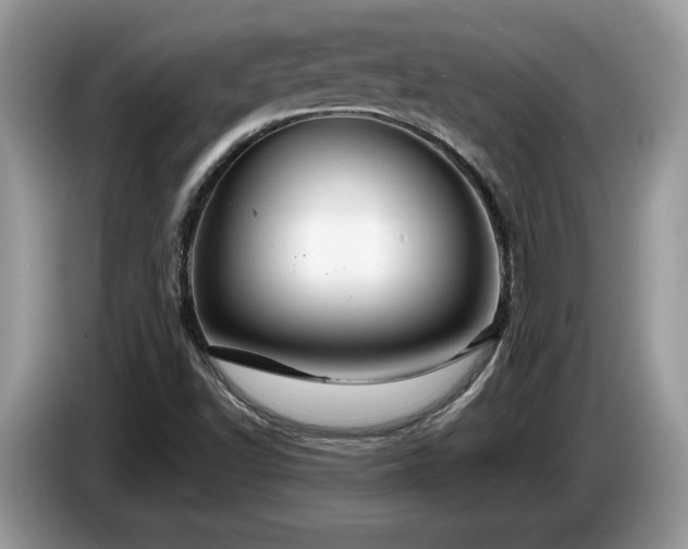 X0000087581502200704271256