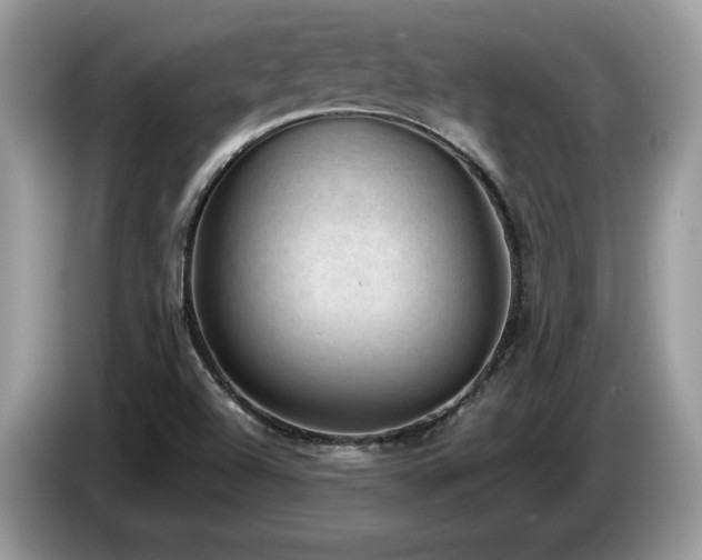 X0000087581504200704271256