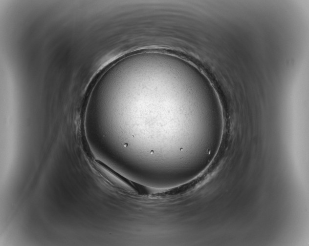 X0000087581505200704271256
