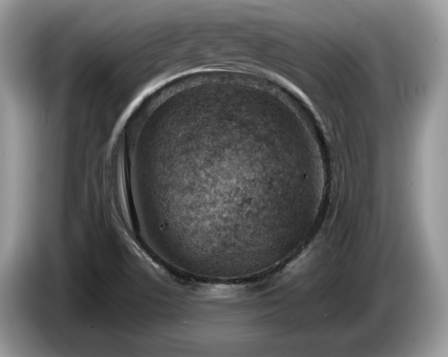 X0000087581506200704271256