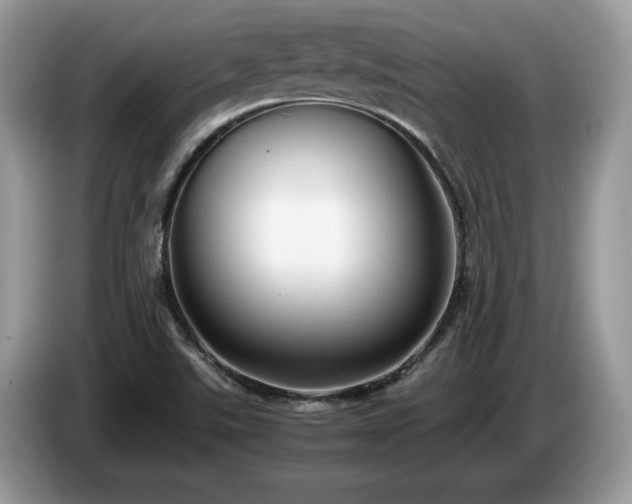 X0000087581507200704271256
