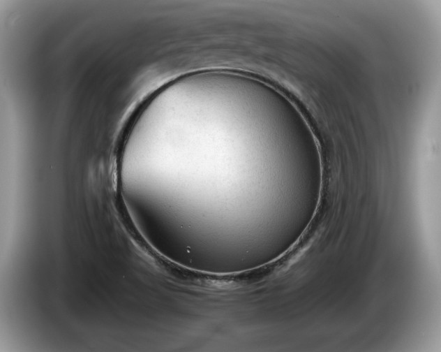 X0000087581509200704271256
