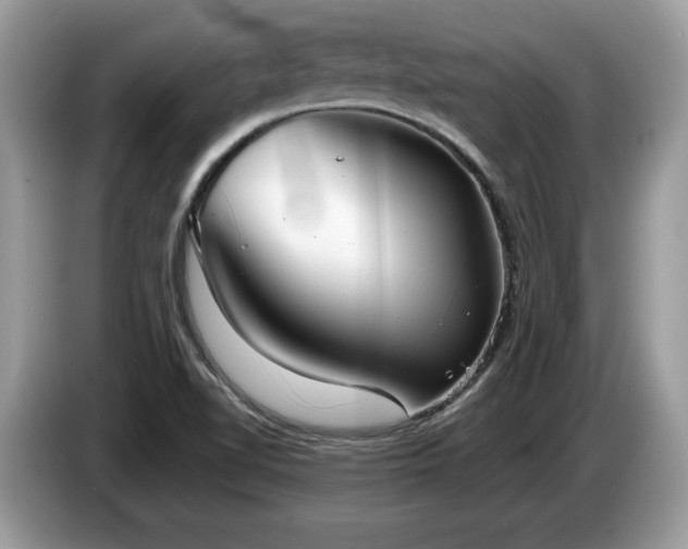 X0000087581510200704271256