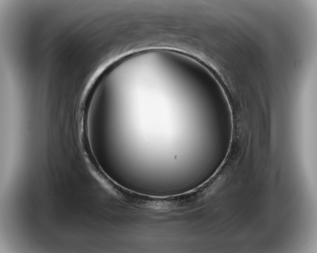 X0000087581511200704271256