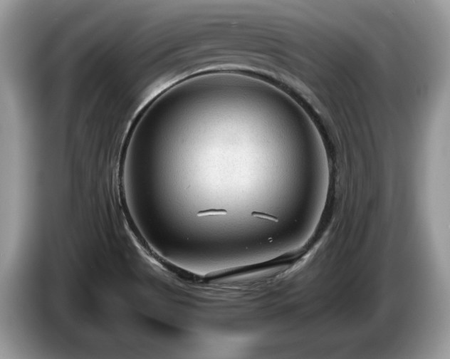 X0000087581513200704271256