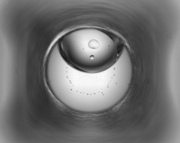 X0000087581514200704271256