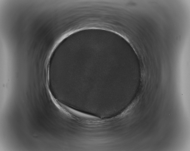 X0000087581515200704271256