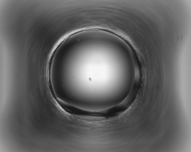 X0000087581516200704271256