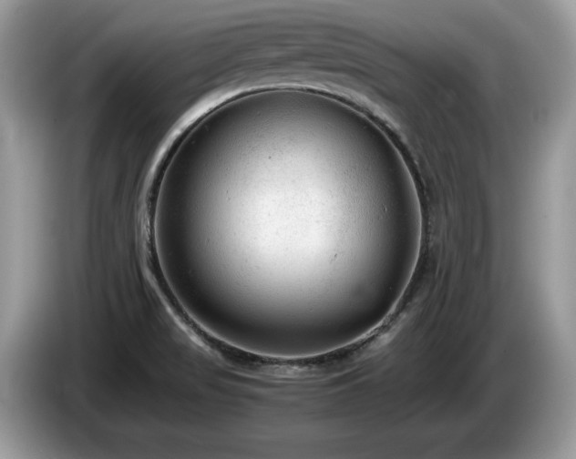 X0000087581517200704271256