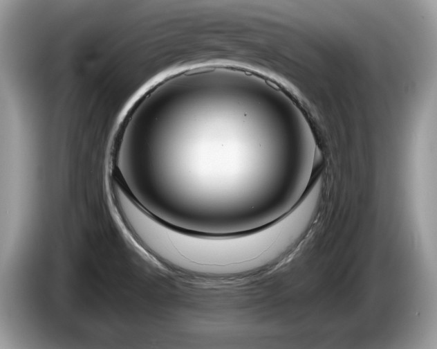 X0000087581518200704271256