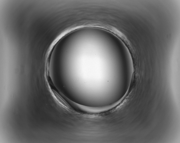 X0000087581520200704271256