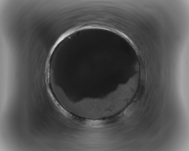 X0000087581522200704271256