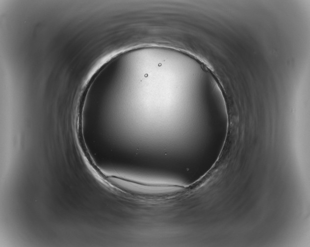 X0000087581523200704271256