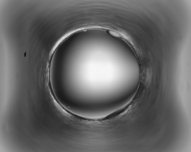 X0000087581524200704271256