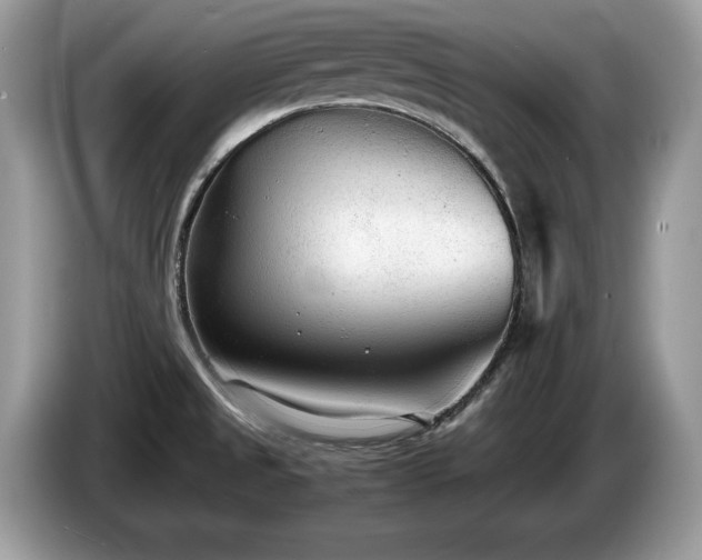 X0000087581525200704271256