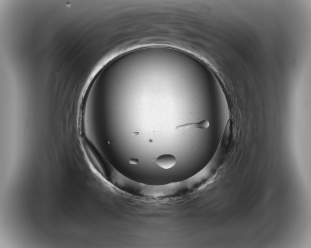 X0000087581527200704271256