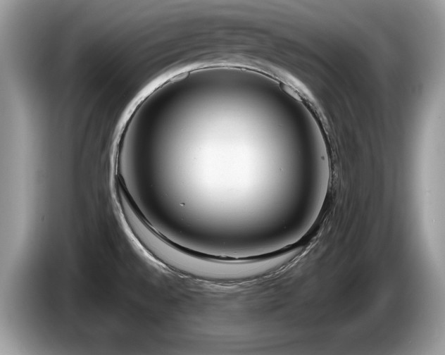 X0000087581528200704271256