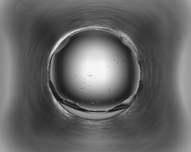 X0000087581532200704271256