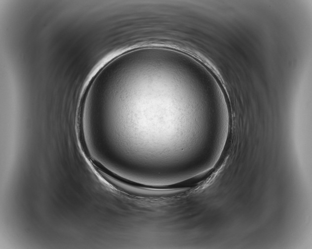 X0000087581533200704271256